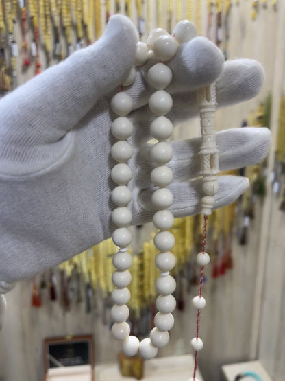 مسباح عظم الجمل الطبيعي